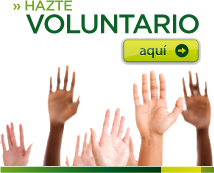 banner_voluntario